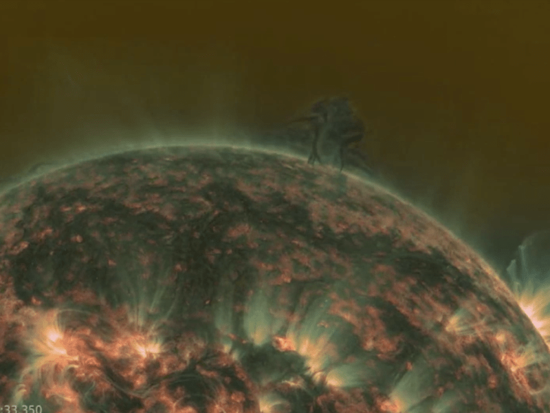 Danseur derviche Solaire..