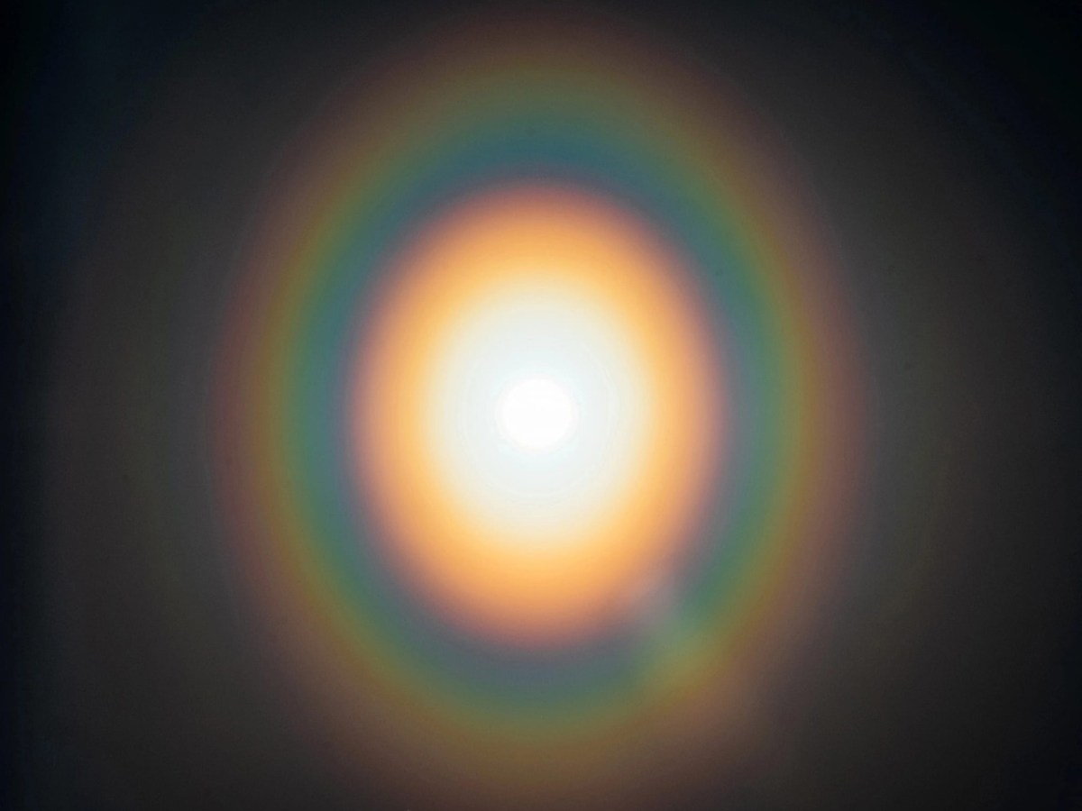 Couronne de pollen…œuf&nbsp;aurique..