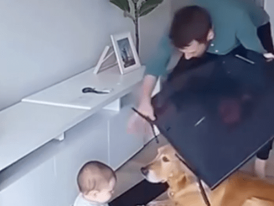 L&rsquo;intelligence c&rsquo;est la&nbsp;lumière..