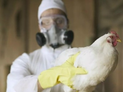 🚨🚨 Si l&rsquo;information est juste, c&rsquo;est très alarmant..!! La peur toujours la&nbsp;peur..!!!