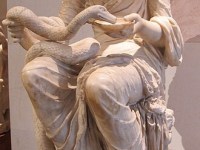 🚨🚨 le serpent ce reptile emblématique de la médecine..&nbsp;😅