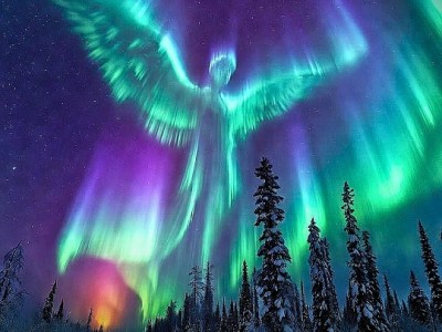 🙏💞🦋🔥 L&rsquo;Ascension, c&rsquo;est la descente de l&rsquo;Ange de la&nbsp;Présence..